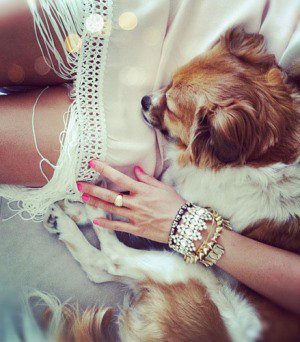 Ronda ügy az ördöggel - KERESD A NŐT  -  - kékharisnya, luxusprosti, rúzs és tükör, 