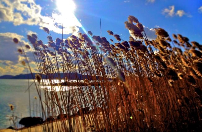 Rejtett gyöngyszemek /1. rész/: Balaton - STYLELIFE - Utazás - balaton, balatonfüred, balatonudvari, Karolina Kávéház, Laci Pince, vitorlázás, 