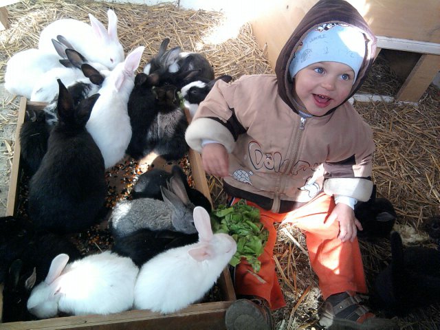 Hová, mész te kis nyulacska, ha végetér az ünnep? - STYLELIFE - Fesztelen mindennapok - húsvét, húsvéti nyuszi, 