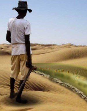 A jövő ehetetlen eledelei - STYLELIFE - Gasztronómia - élelmiszer, génmanipuláció, jövőkép, 