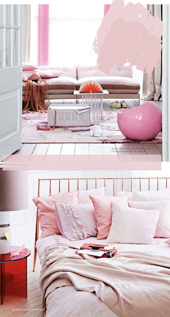 Rózsaszín Álom -  -  - rózsaszín, 