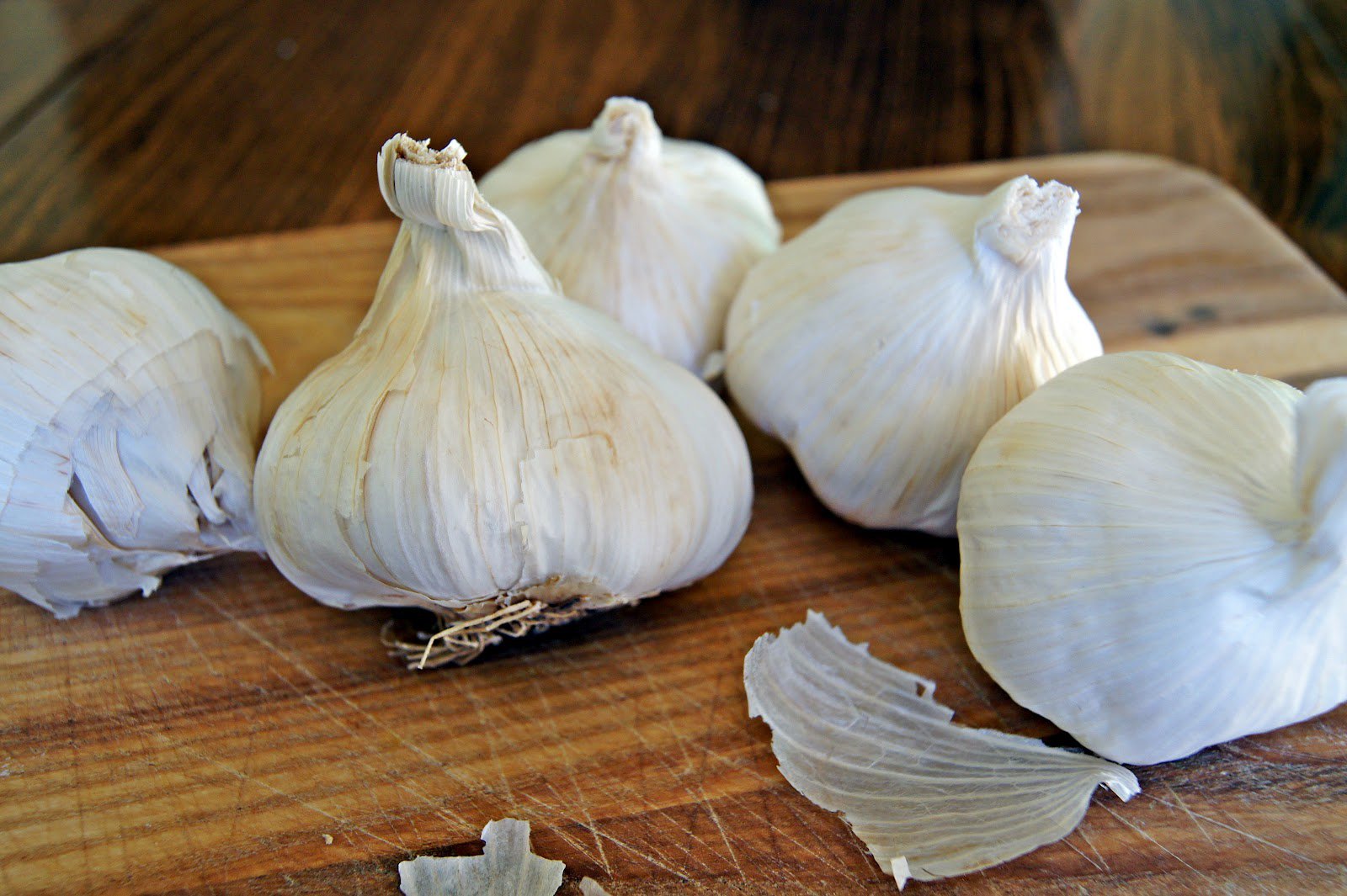 Nagy Nemzeti fokhagyma Nap - Gasztronómia -  - fokhagyma, világnap, 