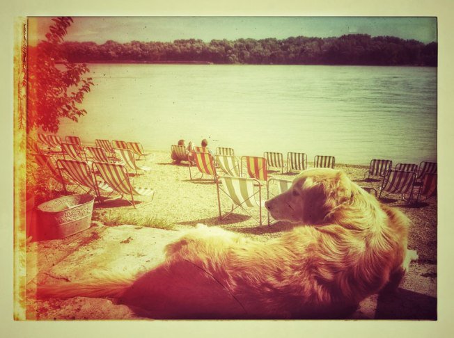 Retro életérzés stílusba csomagolva - STYLELIFE - Gasztronómia - dunapart, fellini római kultúrbisztró, nyár, római part, 