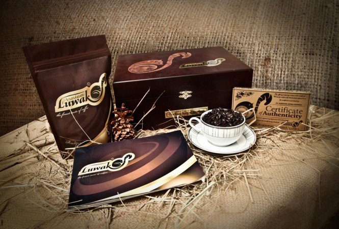 Macskából jön a világ legdrágább kávéja -  -  - gasztronómia, Indonézia, kávé, Kopi Luwak, legdrágább, 