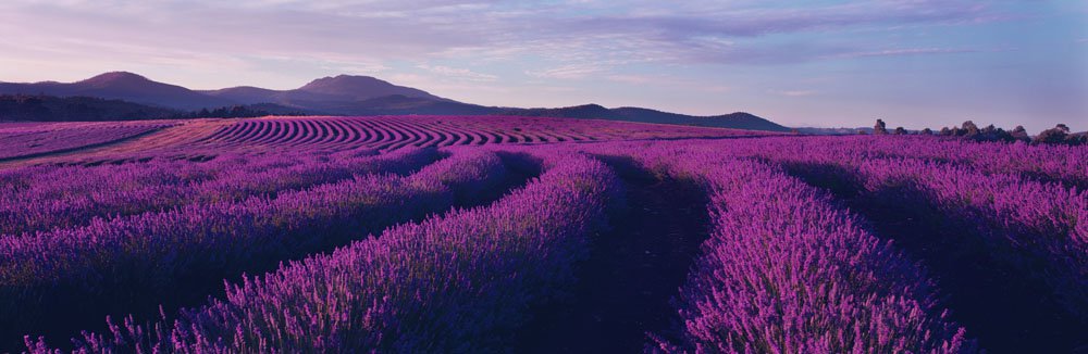 Olajozz bátran! - SZÉPSÉG - STYLELIFE - aromaterápia, olajok, 