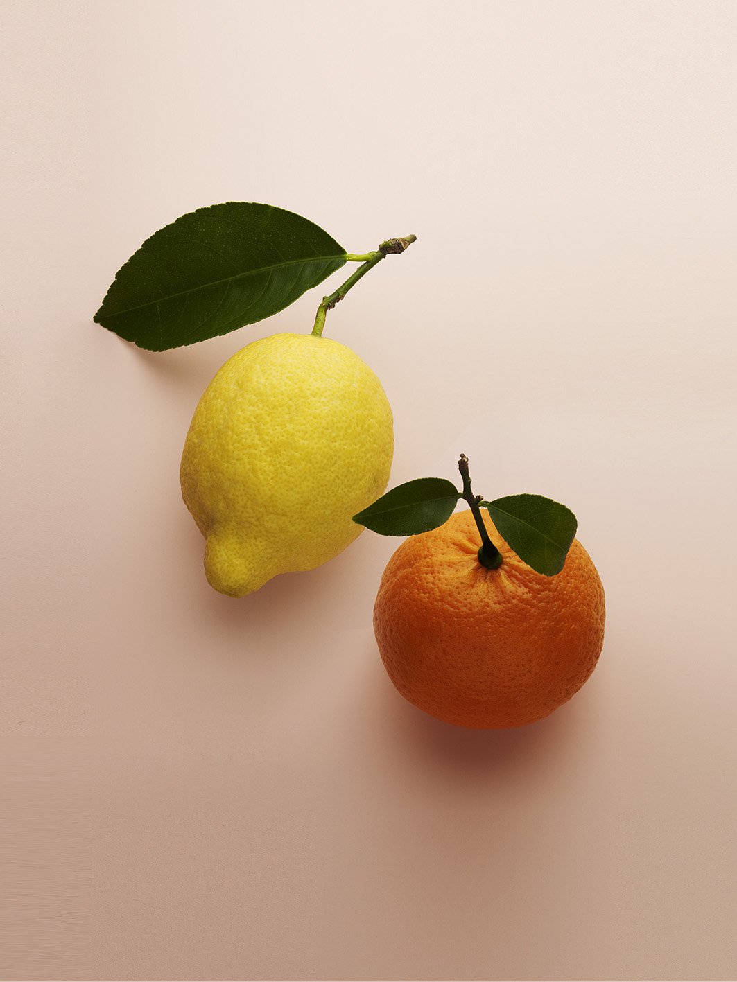 Az ellenállhatatlan ifjú nő új illata - Illatok -  - illat, parfüm, prada, prada parfüm, 