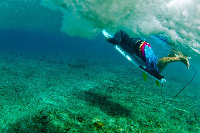 Ahol még van nyár - Grant Legassick fotói - Utazás - Fesztelen mindennapok - 