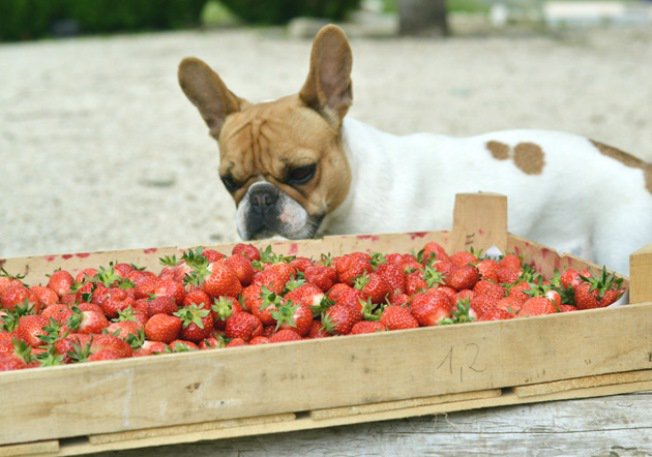 Mai mosoly: eperlekvár házilag - STYLELIFE - Gasztronómia - eperlekvár, jam, mosoly bisztró, 