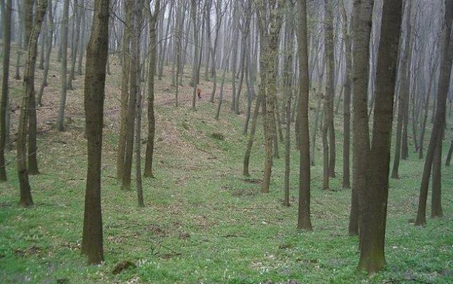 Kiazöldbe: Túrák népe - STYLELIFE - Utazás - kiazöldbe, túrázás, 