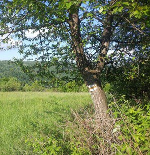 Kiazöldbe: Túrák népe - STYLELIFE - Utazás - kiazöldbe, túrázás, 