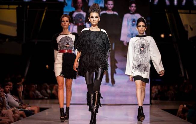 Pulikutya a kifutón - DIVAT&STÍLUS - Stílusiskola - gombold újra 2013, nyertesek, 