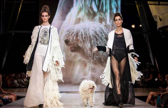 Pulikutya a kifutón - DIVAT&STÍLUS - Stílusiskola - gombold újra 2013, nyertesek, 