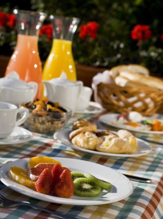 Aki velük kel és fekszik, az meg is öleli a fákat - Utazás -  - léböjt, lővér hotel sopron, nordic walking, sopron szállás, 