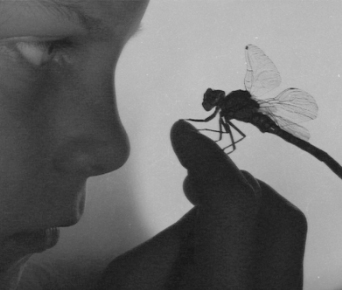 Halott kabócák a fákon - KERESD A NŐT  -  - rúzs és tükör, szerelem, 