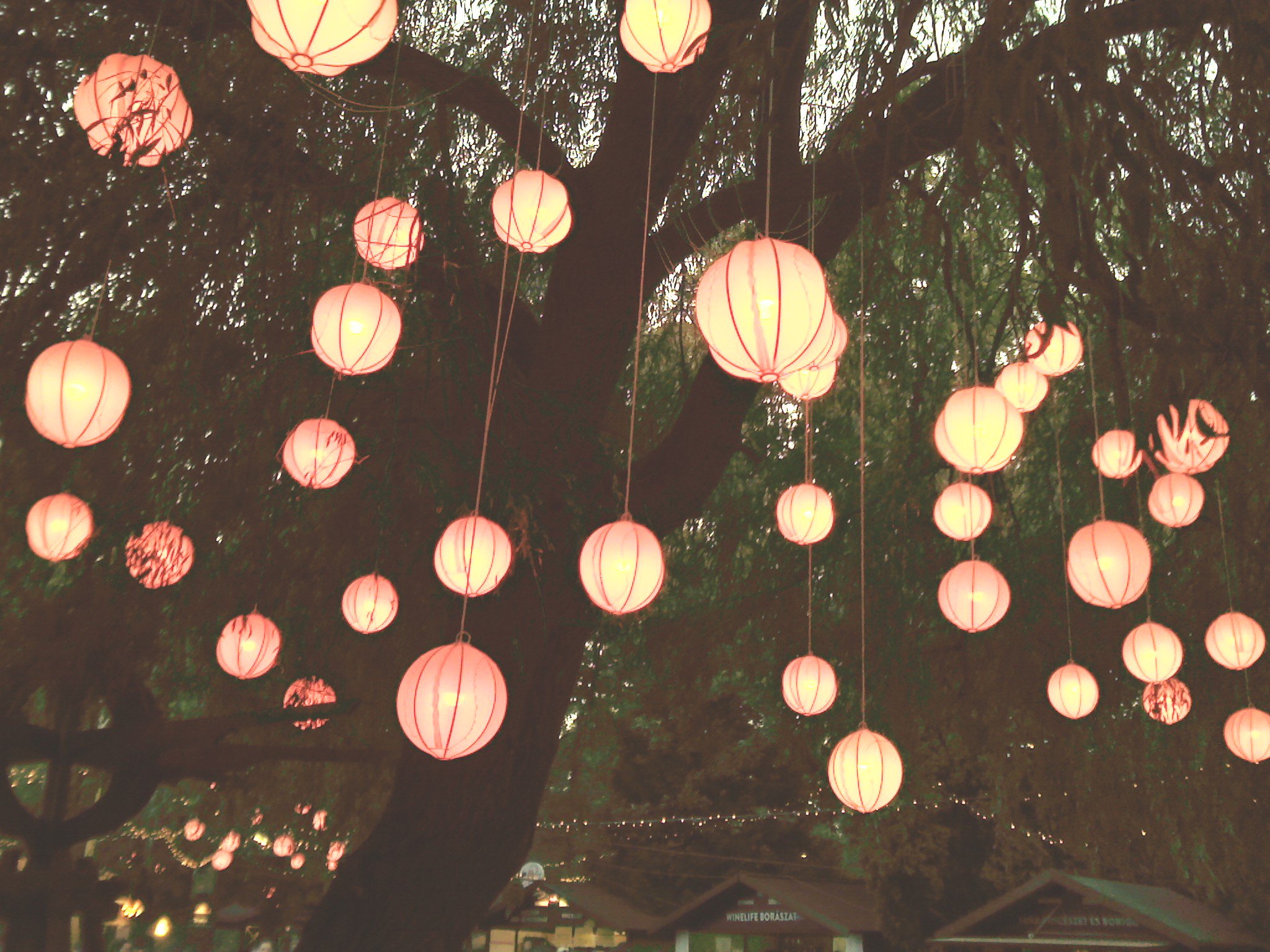 Ott VOLT-unk! - Rendezvények -  - fellépők, fesztivál, volt fesztivál, 