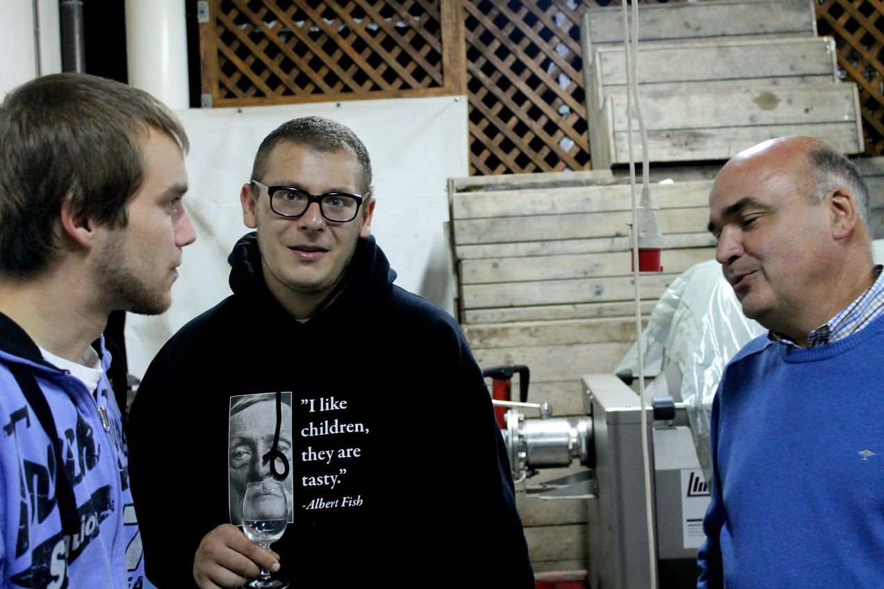 Borvilágos éjszaka - Rendezvények - Fesztelen mindennapok - borfesztivál, borfesztivál tolcsva 2013, tolcsva, 