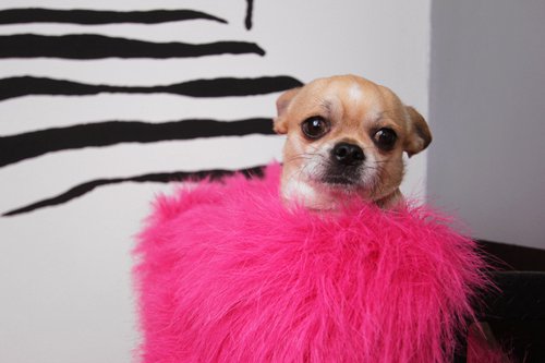 Modern Marilyn - STYLELIFE - Otthon & Design - dekor, design, juditu, marilyn monroe, 