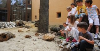 Kirándulás és luxus a Bükk kapujában - STYLELIFE - Utazás - bükk, utazás, 