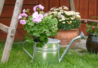 Kedvcsináló kertszépítés - STYLELIFE - Otthon & Design - design, juditu, kertszépítés, 