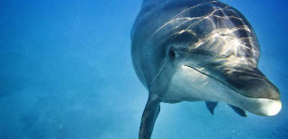 Az Atlantisz mégsem süllyedt el - STYLELIFE - Utazás - atlantis the palm, dubai, utazás, 