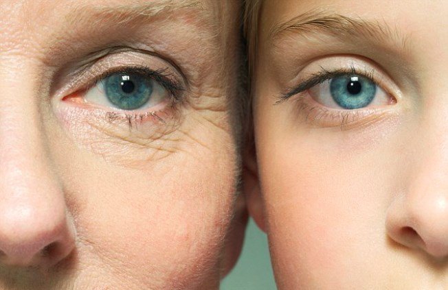 Illóolaj az illékony ifjúságra - SZÉPSÉG - Bőrápolás - bőrmegújulás, illóolajok, illóolajok hatása, öregedés, young living, 