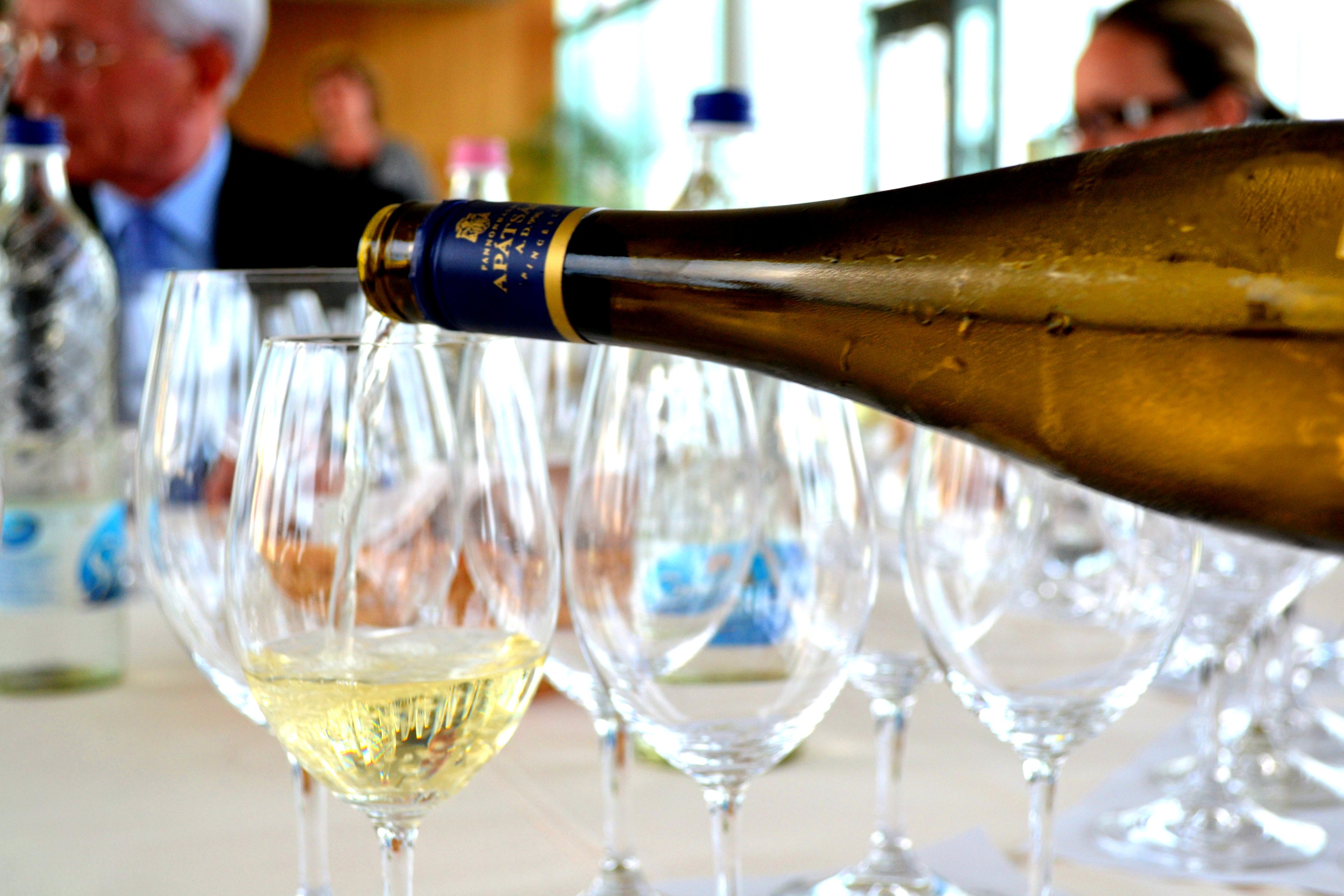 Olaszrizling Október idén először - Rendezvények -  - október, olaszrizling, 