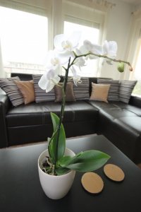 Pezsgőszín és hullámfal - STYLELIFE - Otthon & Design - juditu, otthon%26design, 