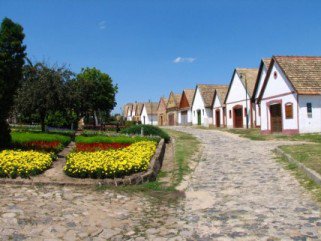 A hal vagy a marha egészségesebb? - Gasztronómia - Rendezvények - atomfutás 2013, szürkemarha vigadalom 2013, 