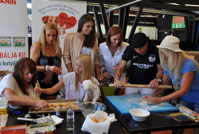 A fehér kutyák a Zöldbe mennek - Fesztelen mindennapok -  - árvácska menhely szentendre, white dog party, zöld pardon, 