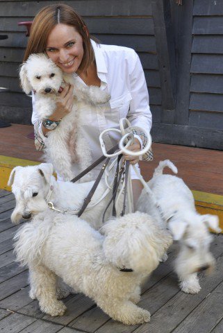 A fehér kutyák a Zöldbe mennek - Fesztelen mindennapok -  - árvácska menhely szentendre, white dog party, zöld pardon, 