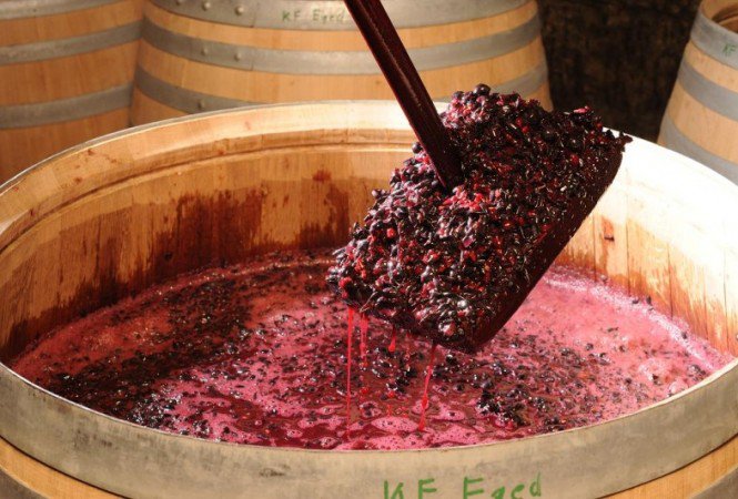 Hol igyunk a hétvégén? - STYLENEWS - Fesztelen mindennapok - 