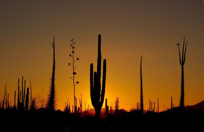 Mexikó arcai - Fesztelen mindennapok -  - érdekességek, Mexikó, utazás, 