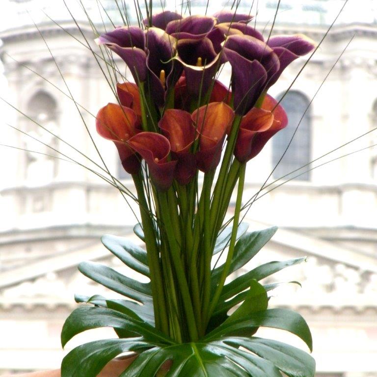 Az ősz egy második tavasz, mikor minden levél egy virág - STYLENEWS -  - csokor, vénasszonyok nyara, virág, 