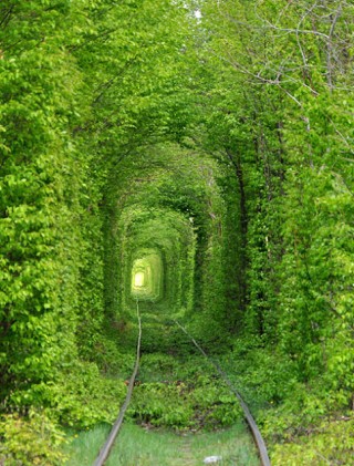 Ahol a kívánságok valóra válnak - STYLELIFE - Utazás - szerelemalagút, ukrajna, utazás, 