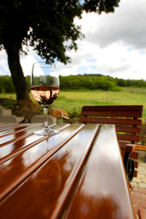 Villányi RozéMaraton -  -  - borfesztivál, rozé, Villány, 