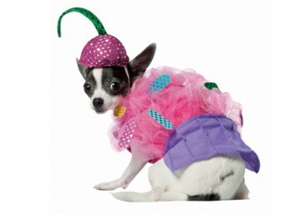 A legszellemesebb jelmezek a szellemek éjszakájára - STYLENEWS -  - halloween jelmezek, 