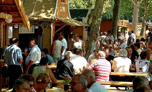 Hal- és Bornapok, Balatonfüreden – élménybeszámoló -  -  - Balatonfüred, bor, hal és bornapok, 