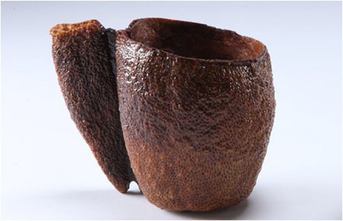 Ökodesign - STYLELIFE - Otthon & Design - bio, biológiailag lebomló anyagok, öko, 