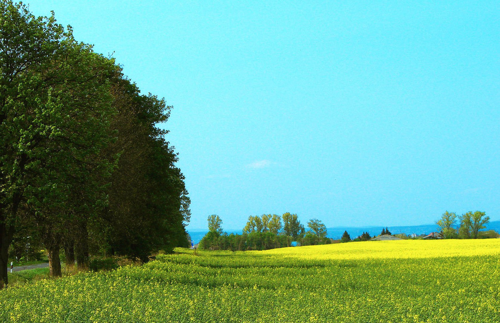 Ahova a madár is pihenni jár - Élménypark a Zselic szívében - Fesztelen mindennapok -  - érdekesség, somogy, turisztika, utazás, 