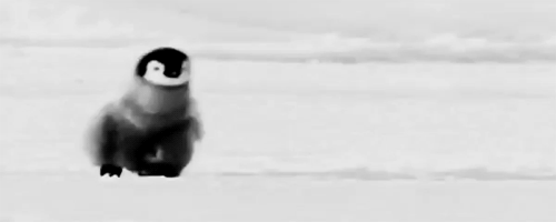 Hétfői gif challenge 11/25 - DIVAT&STÍLUS - Celebrity - celebrity, gif challenge, 