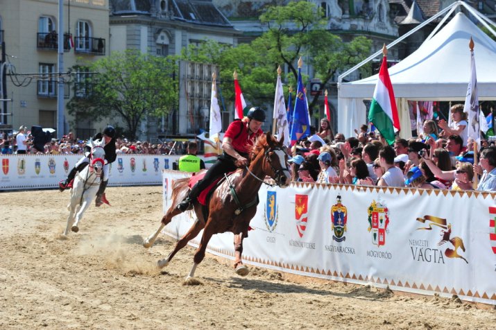 Hajas László idén megpróbál nyeregben maradni - Hajápolás  -  - Hajas László, nemzeti vágta, 
