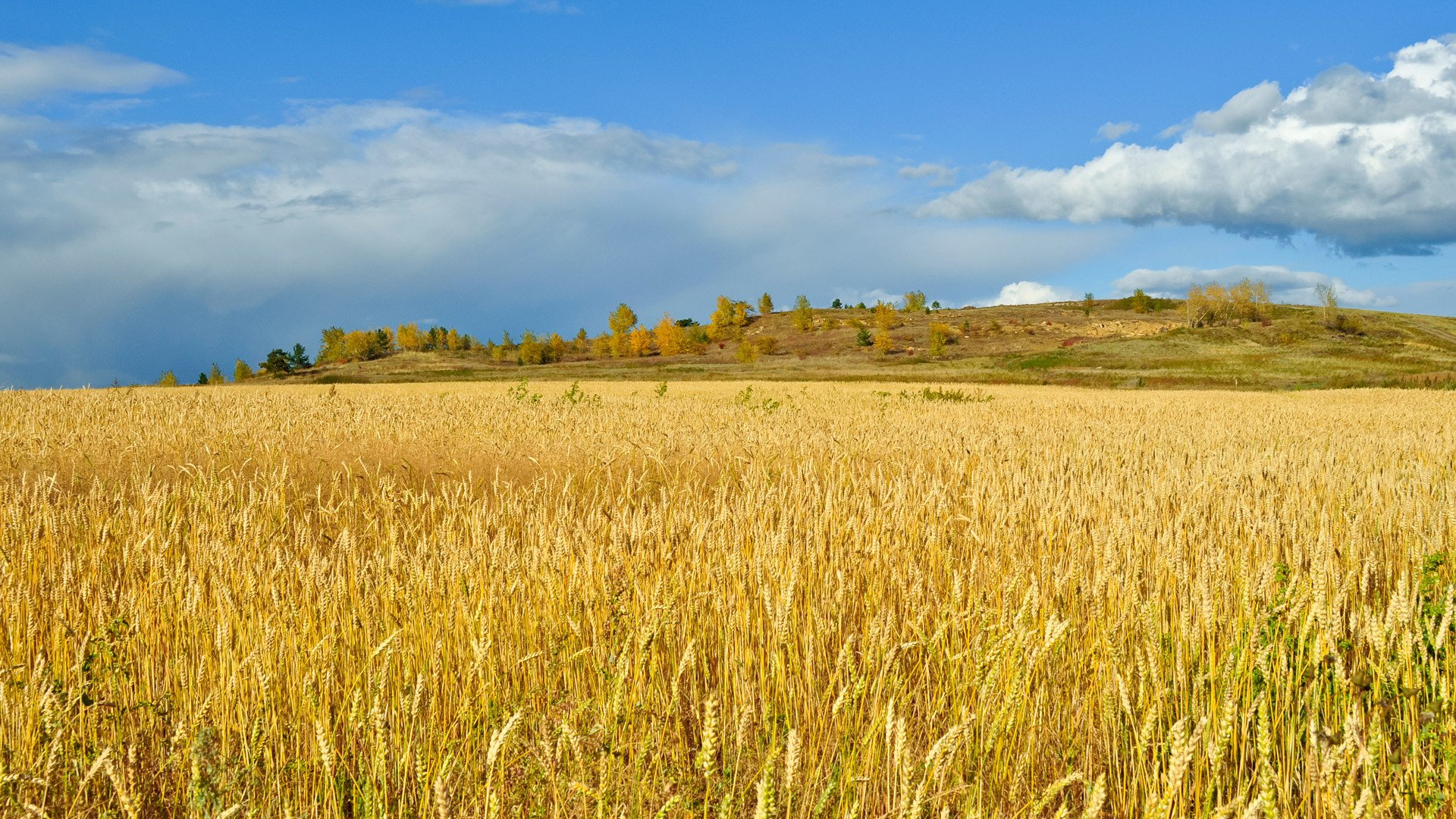 Harminchárom milliárdos beruházás Visontán - Stylebusiness -  - beruházás, ingatlanhirek, logisztika, 