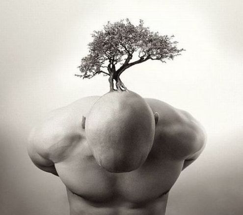 A kopaszság kezelhető - KERESD A NŐT  -  - egészség, hajhullás, 