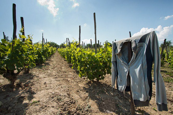 A víz nyugalma - Fesztelen mindennapok -  - érdekességek, fényképépesz, Istvánffy Zoltán, 