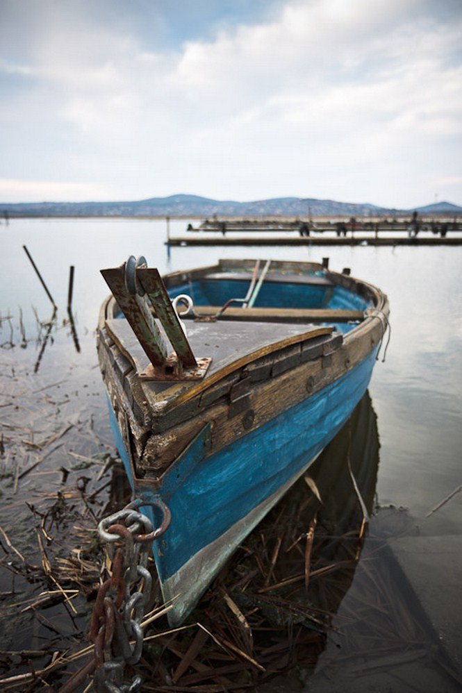 A víz nyugalma - Fesztelen mindennapok -  - érdekességek, fényképépesz, Istvánffy Zoltán, 