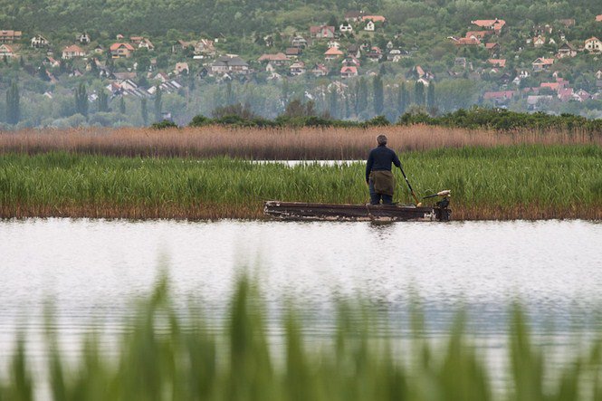 A víz nyugalma - Fesztelen mindennapok -  - érdekességek, fényképépesz, Istvánffy Zoltán, 