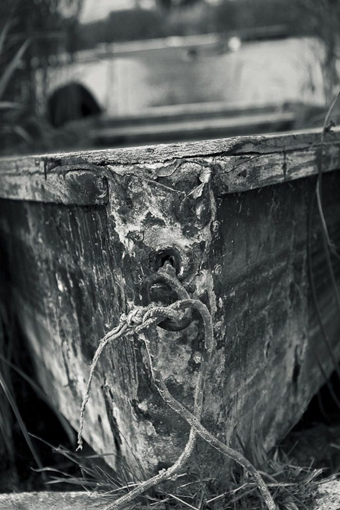 A víz nyugalma - Fesztelen mindennapok -  - érdekességek, fényképépesz, Istvánffy Zoltán, 