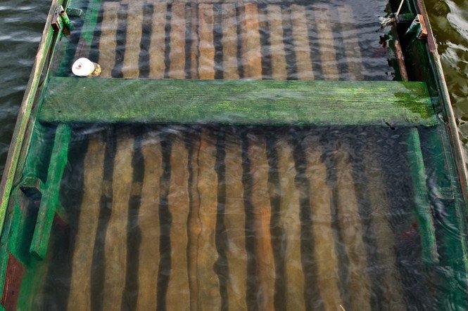 A víz nyugalma - Fesztelen mindennapok -  - érdekességek, fényképépesz, Istvánffy Zoltán, 