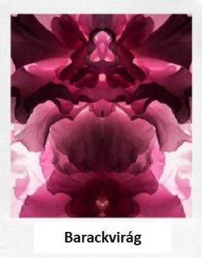 A legjobb bulik szíve és lelke - Illatok -  - 212 vip, carolina herrera, parfüm, 