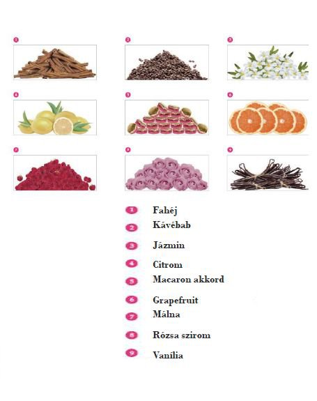 Álom vagy valóság? - Illatok -  - nina ricci, nina ricci parfüm, parfüm, 